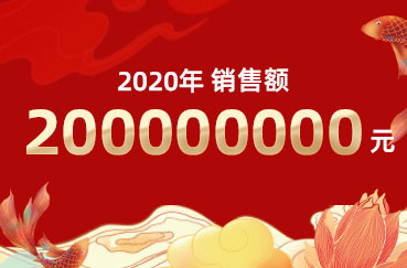 2020年公司销售额突破两个亿